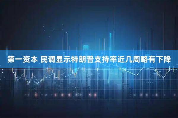 第一资本 民调显示特朗普支持率近几周略有下降