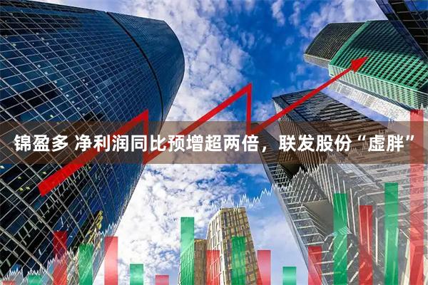 锦盈多 净利润同比预增超两倍，联发股份“虚胖”