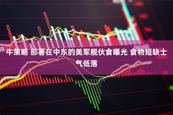 牛策略 部署在中东的美军舰伙食曝光 食物短缺士气低落
