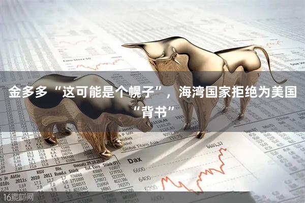 金多多 “这可能是个幌子”，海湾国家拒绝为美国“背书”