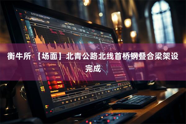 衡牛所 【场面】北青公路北线首桥钢叠合梁架设完成